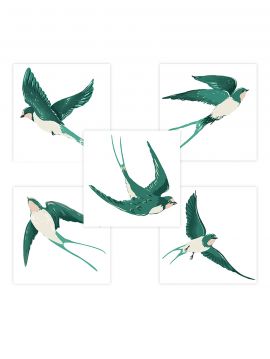 Swallow - Set de 5 planches... 2