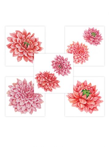 Dahlia - Set de 5 planches