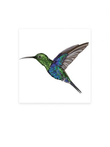 Colibri - Grands Stickers 