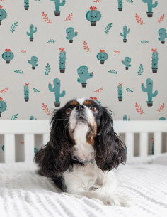Cactus - roll 10 m