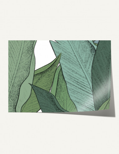 Leaf Gamme Edition - sample