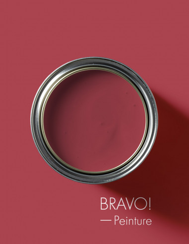 Paint - Bravo