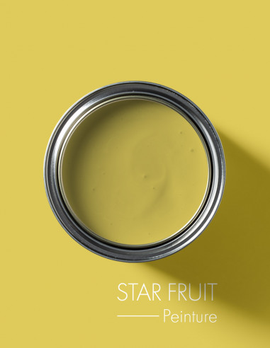 Peinture - Star Fruit