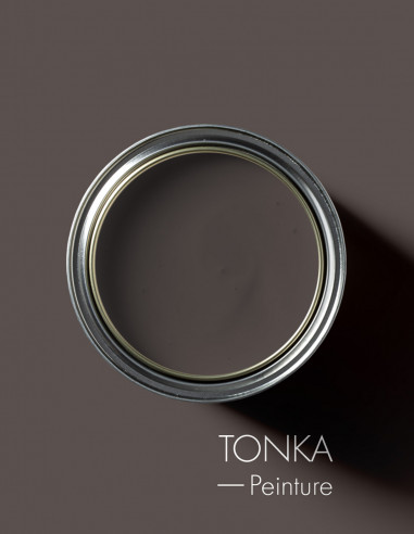 Peinture - Tonka