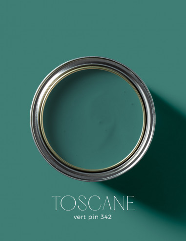 Paint - Toscane Vert Pin - 342