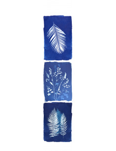 Cyanotype Anna - Wallpanel...