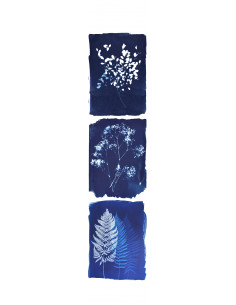 Cyanotype Anna - Fresque -...