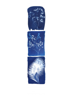 Cyanotype Anna - Wallpanel...