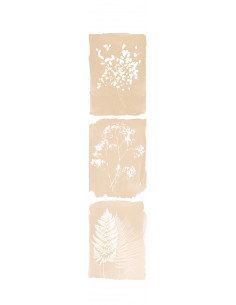 copy of Cyanotype Anna -...