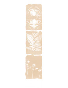 copy of