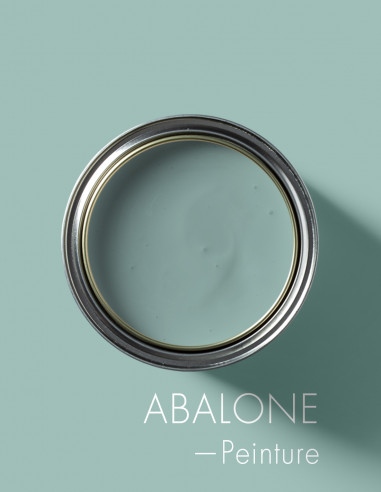 Paint - Abalone