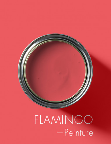 Paint - Flamingo