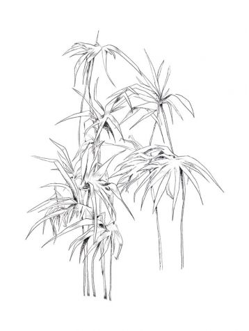 copy of