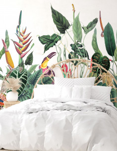 Borneo • Wallpanel Pack