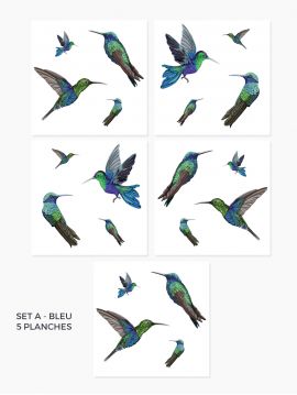 Colibris - Set de 5 planches 2