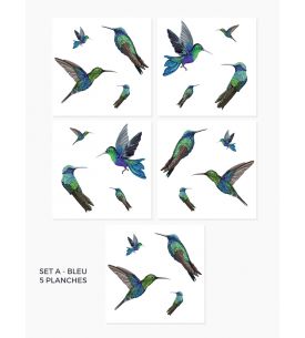 Colibris - Set de 5 planches