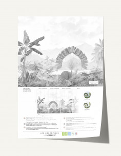 Amazonia Fresque Pack -... 2