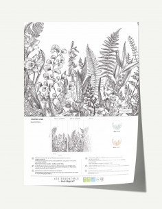 Garden Line Fresque Pack -...