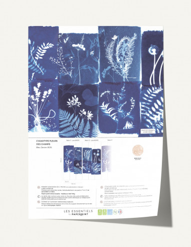 Cyanotype Fleurs des Champs Wallpanel...