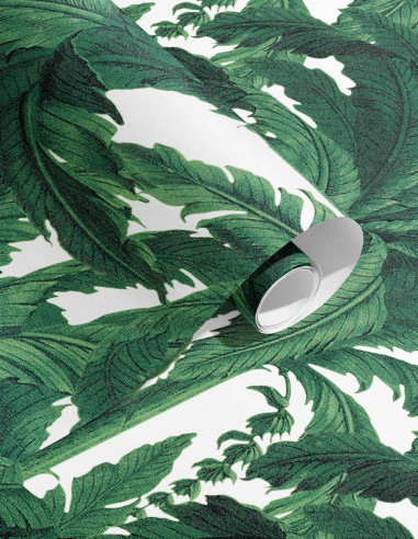 Musa - roll 10 m - Retail