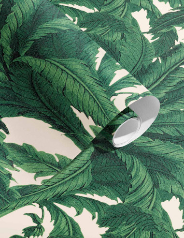 Musa - roll 10 m - Retail