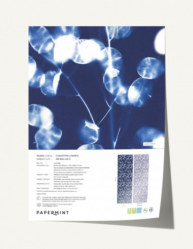 Cyanotype Lunaria Wallpanel - sample