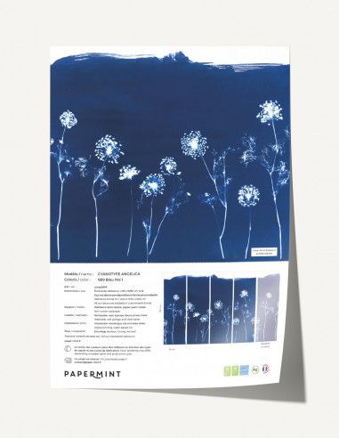 Cyanotype Angelica Fresque - Échantillon