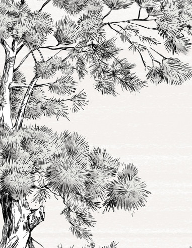 Les Ombres - Wallpanel Archive...