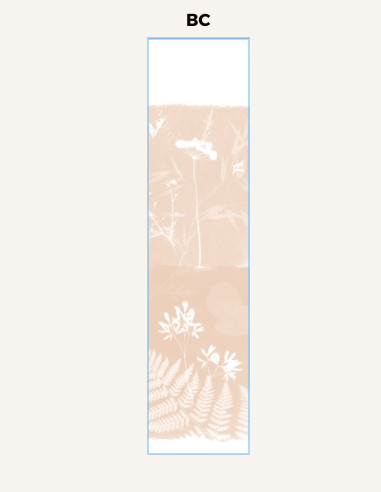 Cyanotype Fleurs des Champs - 1...