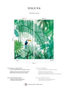 Toucan - Affresco a parete 2