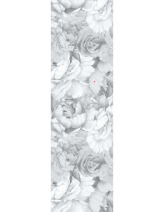 Paeonia Gris Argent -...