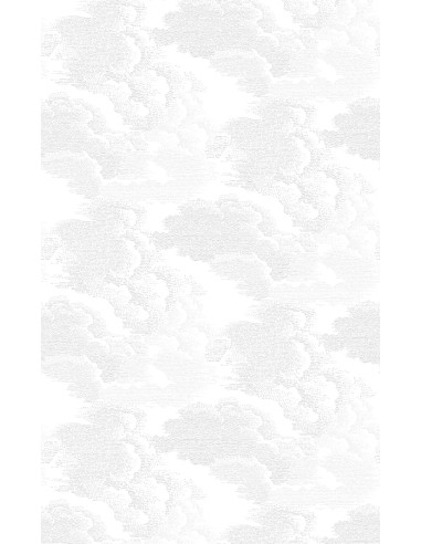 Nuvola Wallpanel customizable