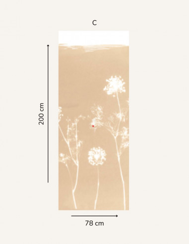 Cyanotype Angelica - 1 single strip,...