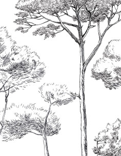 Sous les pins Affresco a... 2
