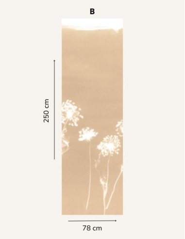 copy of Cyanotype Angelica - 1 single...