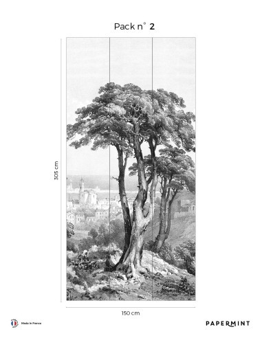 Saint-Tropez Fresque Pack - L150cm x...