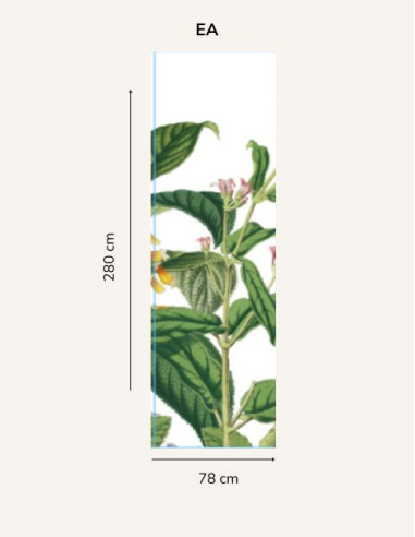 copy of Victorian Garden - Fresque -...