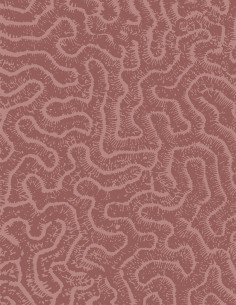 Maze - Revêtements -...