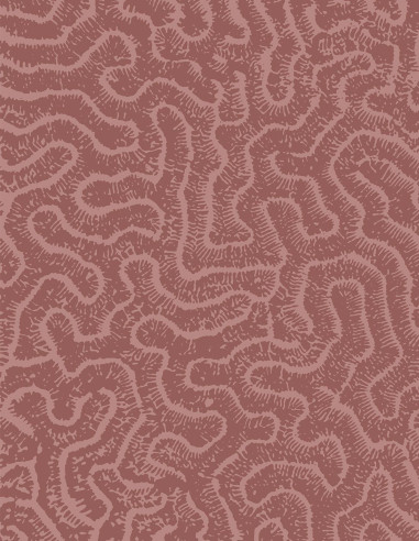 Maze - Revêtement Faux-Unis...