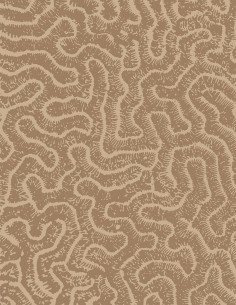 Maze - Revêtements - 1294...