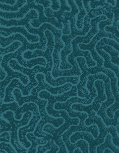 Maze - Revêtements - 1308...