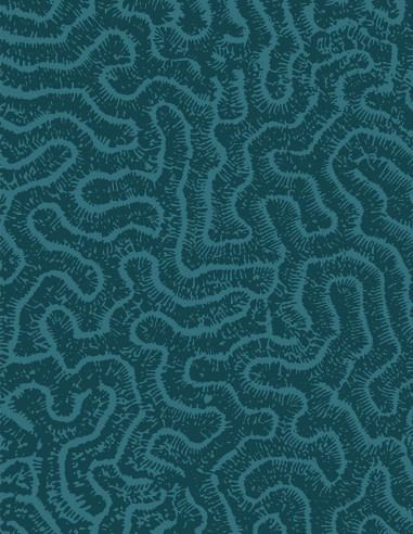 Maze - Revêtement Faux-Unis...