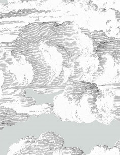 Nuage - Revêtements - 1320-C2