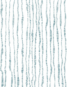 Piccolo - Revêtements -...