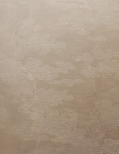 Nuvola Grandiosa •...