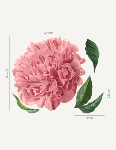 copy of Chrysanthemum - Adesivi grandi