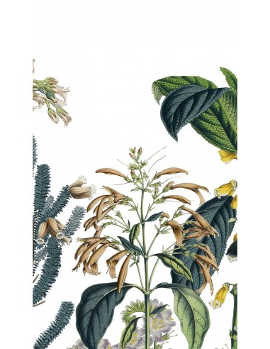 Victorian Garden - Fresque L156cm x...