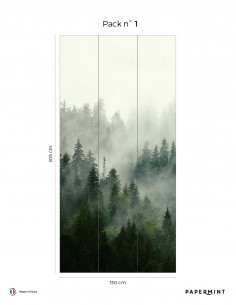 copy of Boreal Forest -...