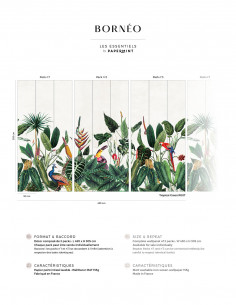 copy of Borneo - Wallpanel... 2