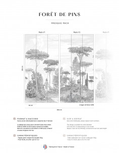 copy of Forêt de Pins -... 2